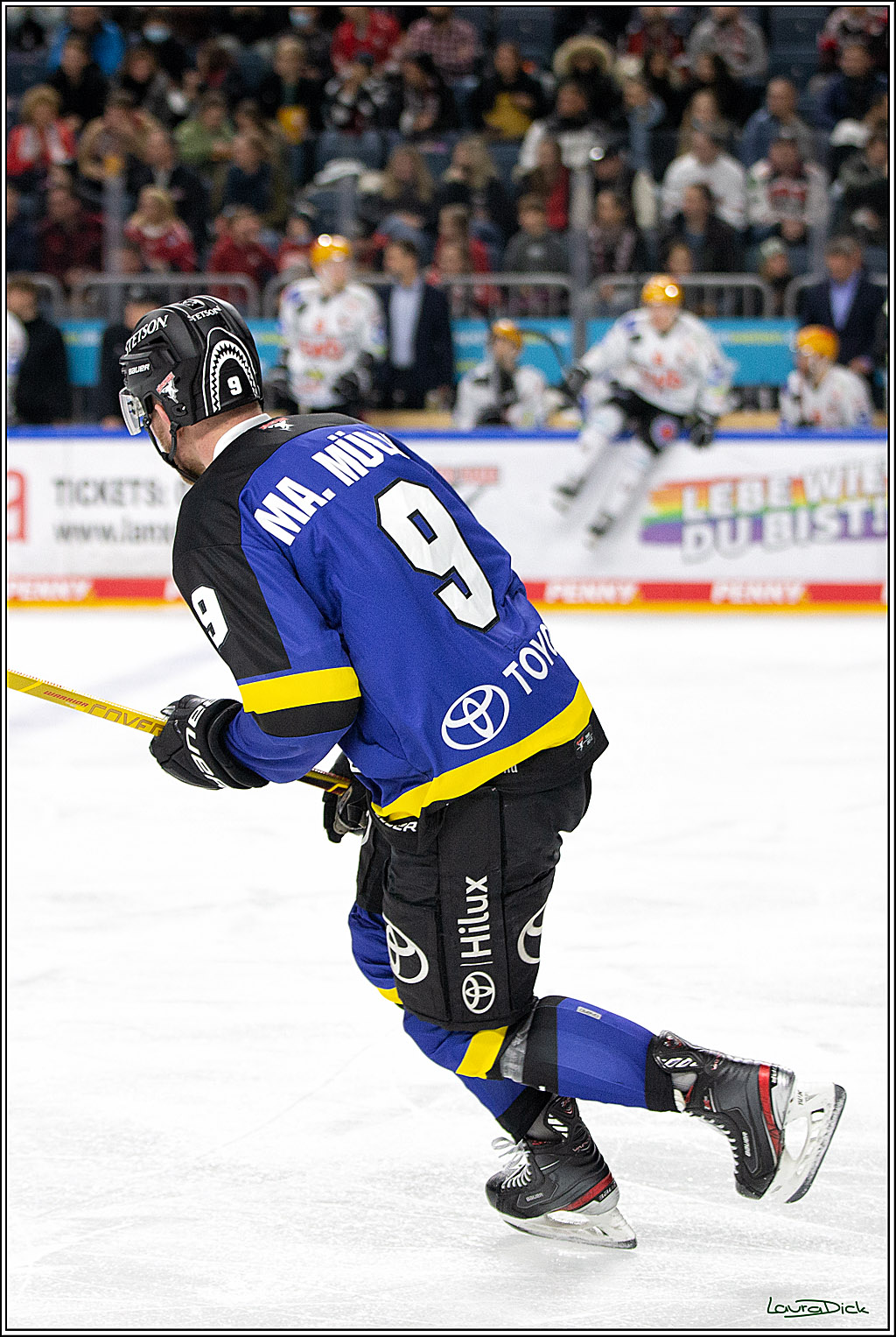 PENNY DEL; Koelner Haie- Fishtown Pinguins Bremerhaven; Koeln, 23.11.2021